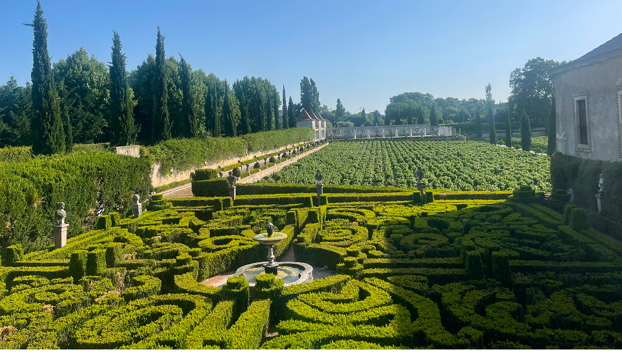 Luxury Tours & Scenic Routes